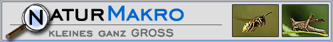 www.natur-makro.de